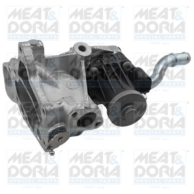EGR Module